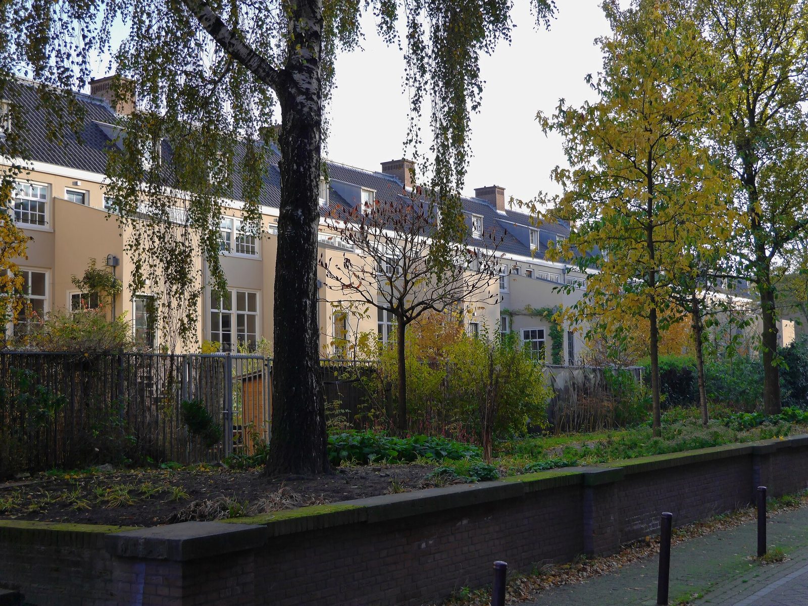 Millbrook neighborhood street