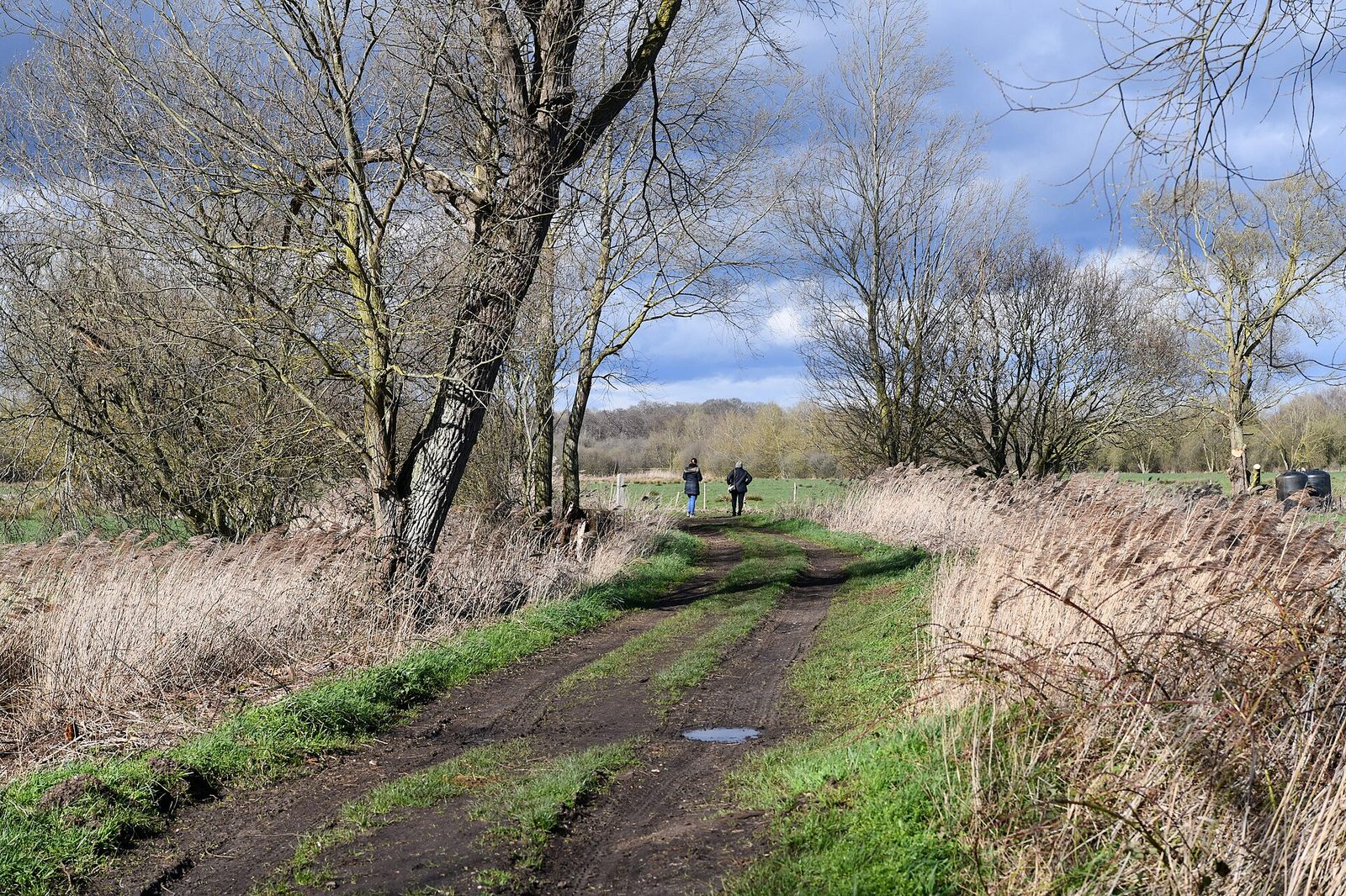 Willow Bend riverside street